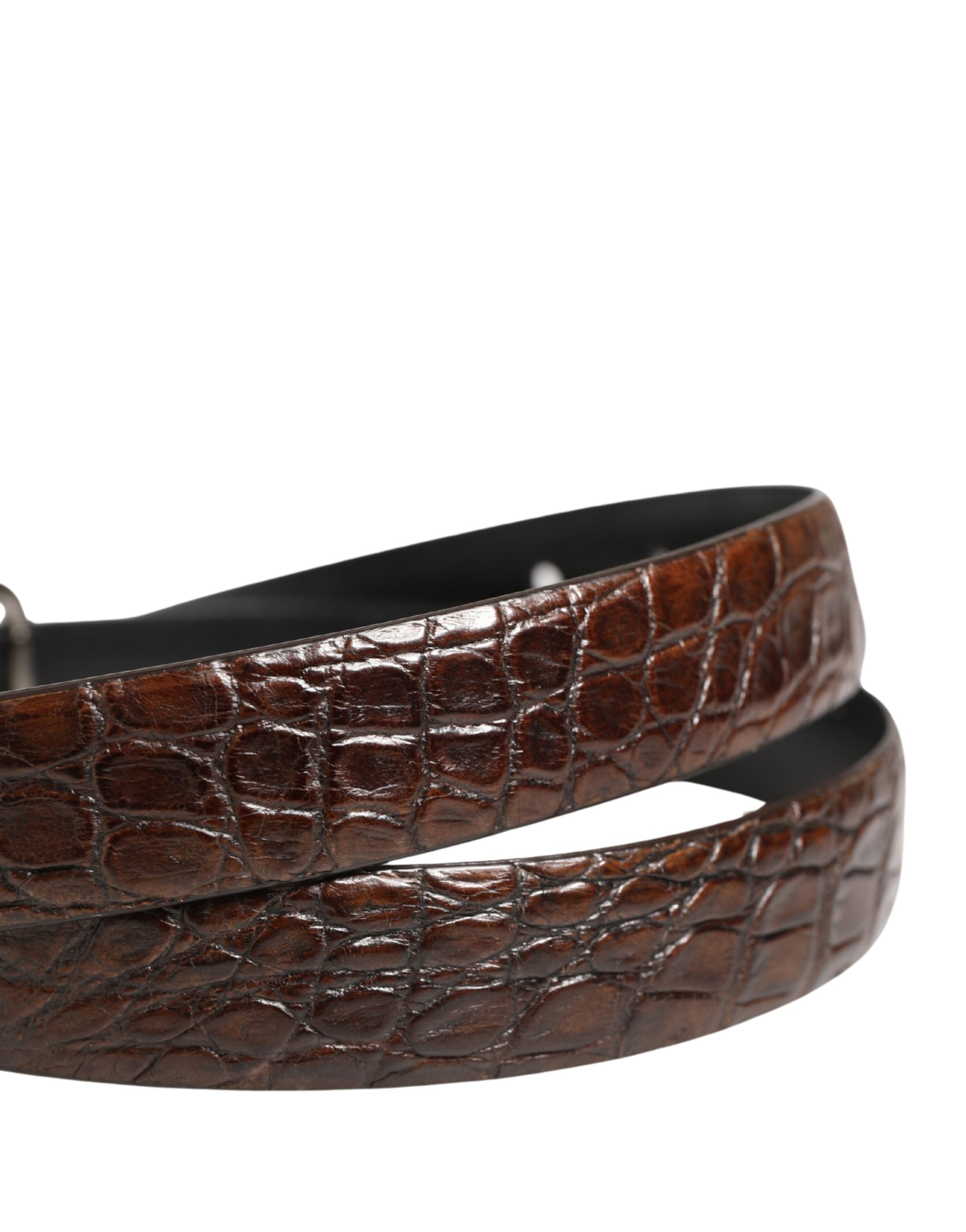 Dolce & Gabbana Brown Leather Silver Tone Metal Buckle Belt
