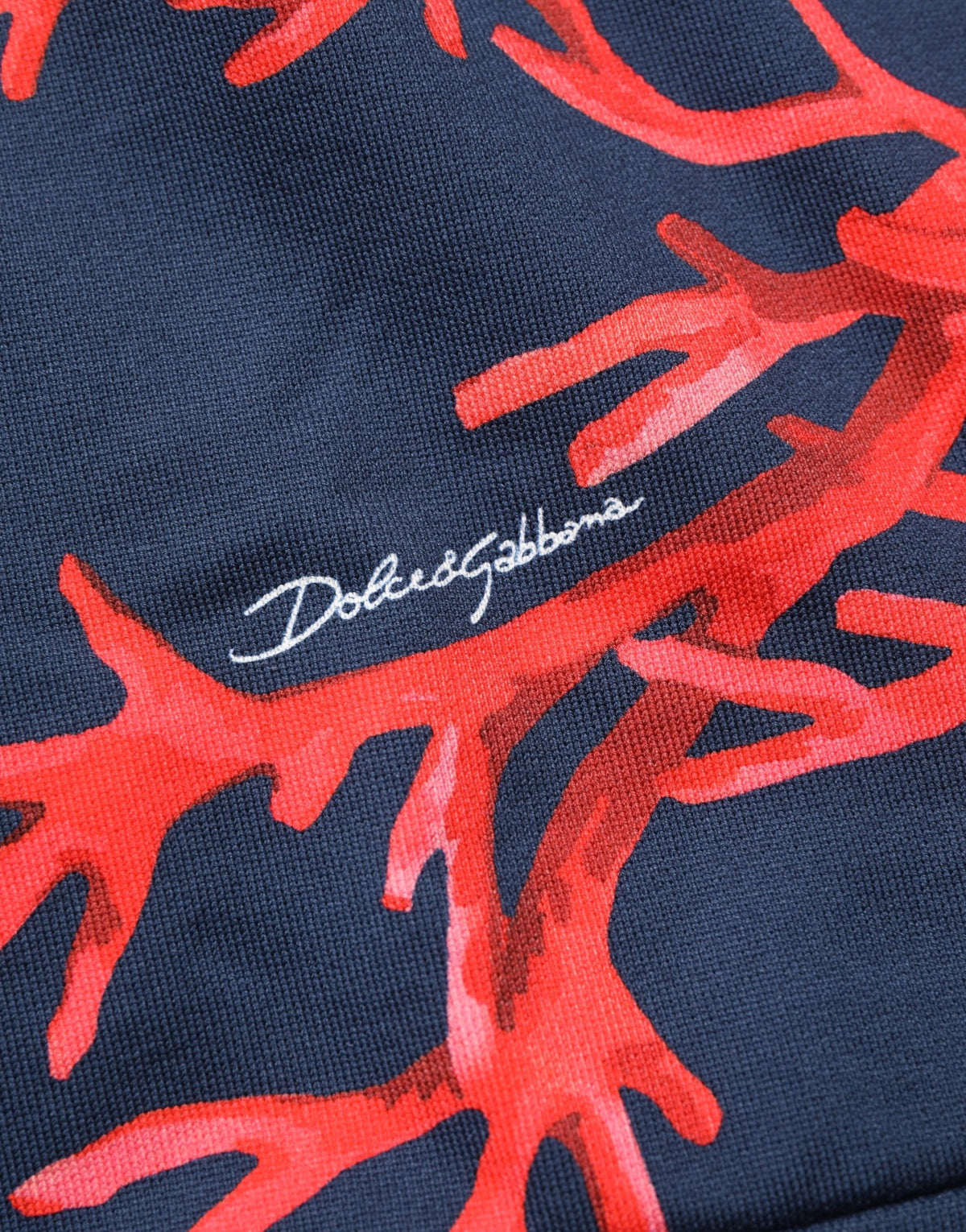 Dolce & Gabbana Blaues Baumwoll-Korallen-Logo Kapuzen-Sweatshirt Pullover