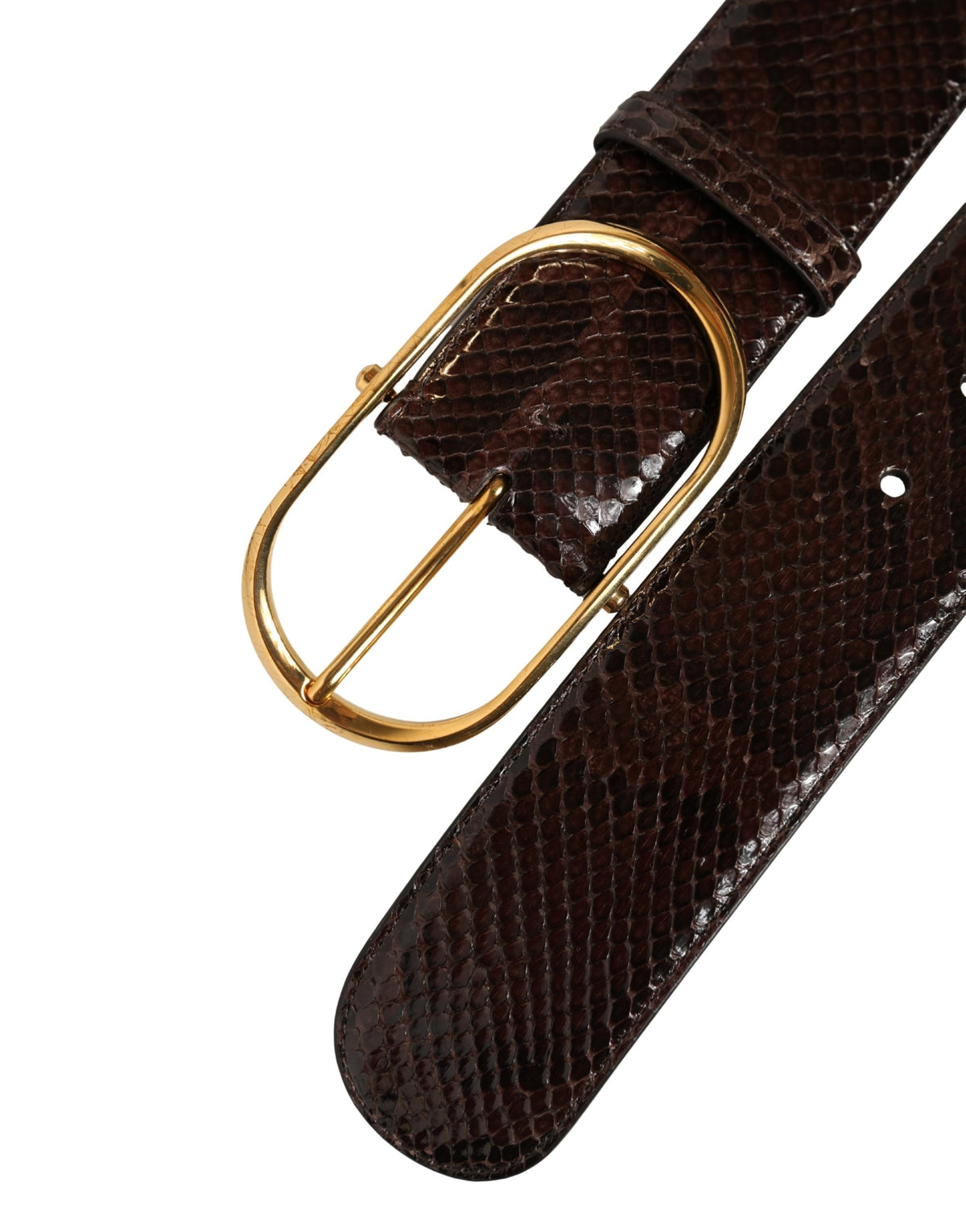 Dolce & Gabbana Brauner Pythonleder-Gürtel mit goldener Metallschnalle