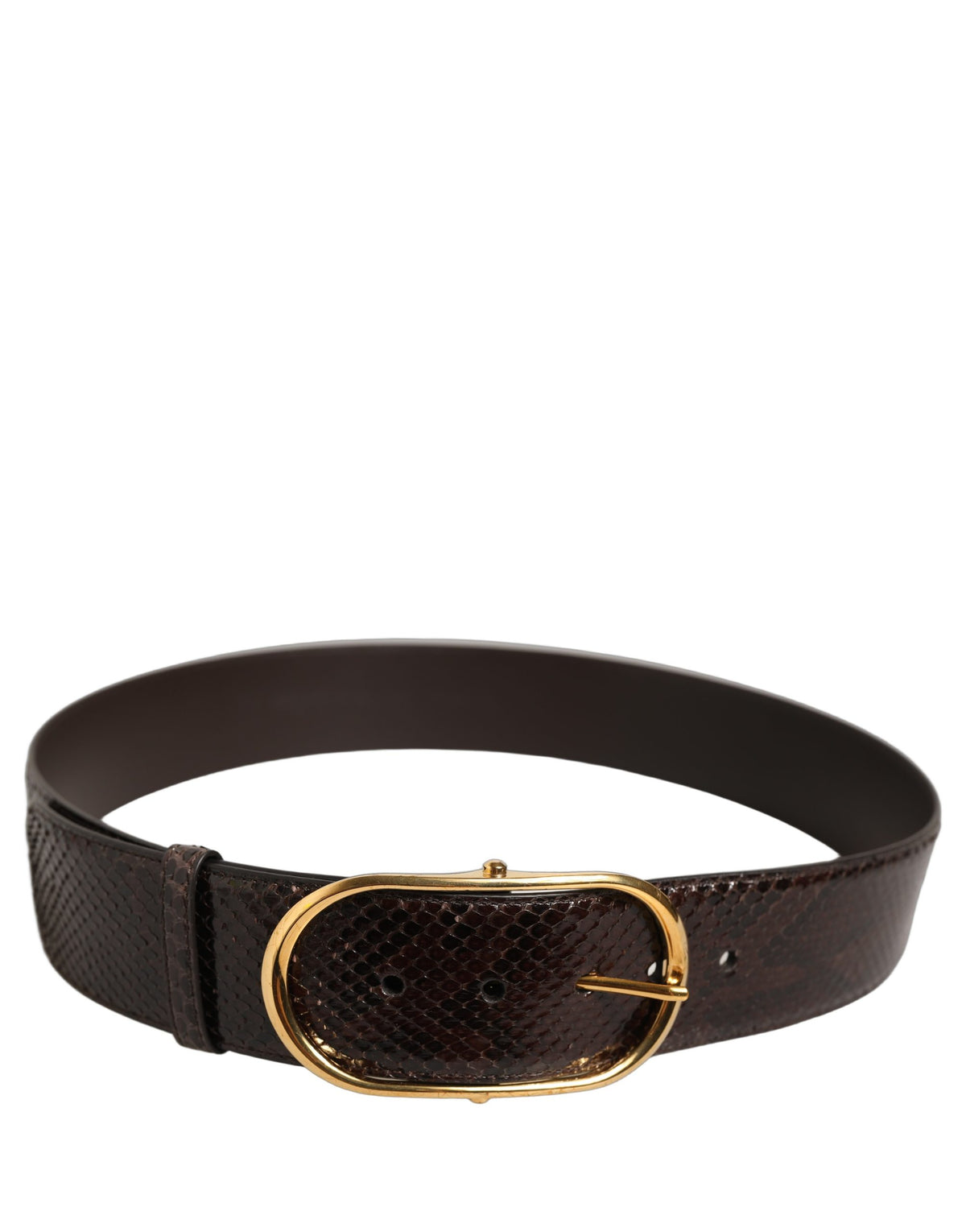 Dolce & Gabbana Brauner Pythonleder-Gürtel mit goldener Metallschnalle
