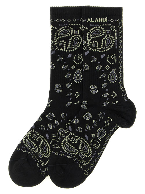 Alanui Black Cotton Socks