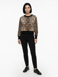 Dolce & Gabbana Brown Cotton Sweatshirt