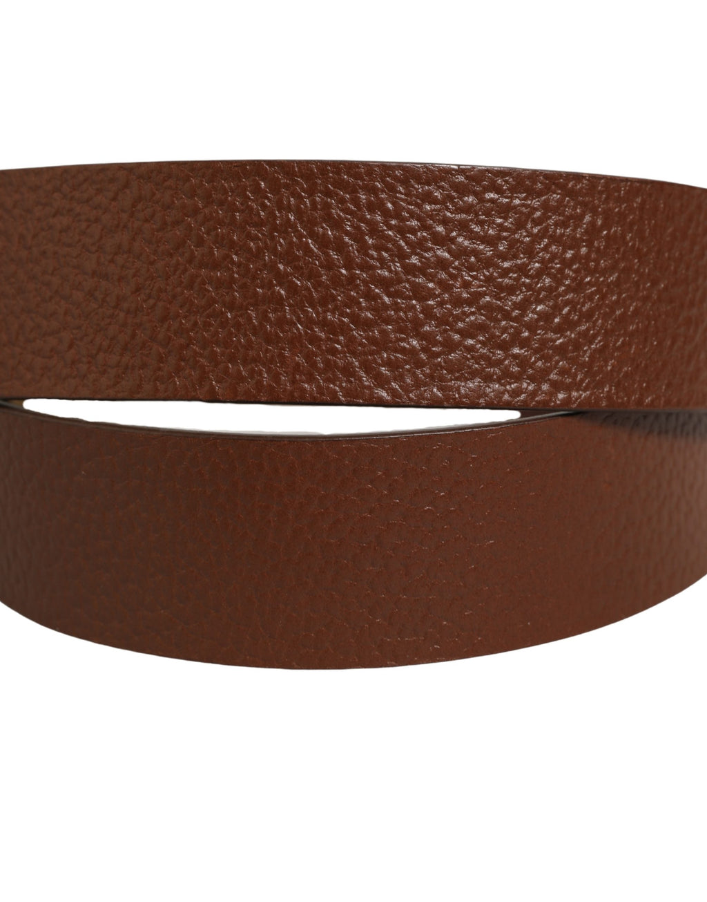 Dolce & Gabbana Brown Leather Bee Accent Metal Buckle Belt