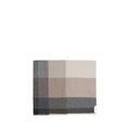 Brunello Cucinelli Multicolor Wool Scarf