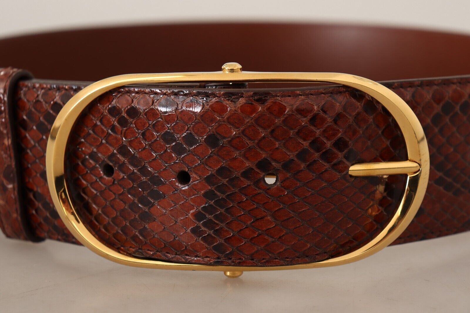 Dolce & Gabbana Brauner Exotenledergürtel mit ovaler Schnalle