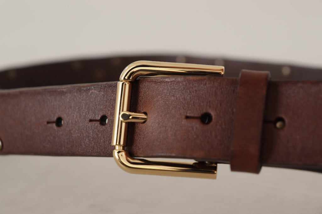 Dolce & Gabbana Brauner Leder Nietengürtel mit goldfarbener Metallschnalle