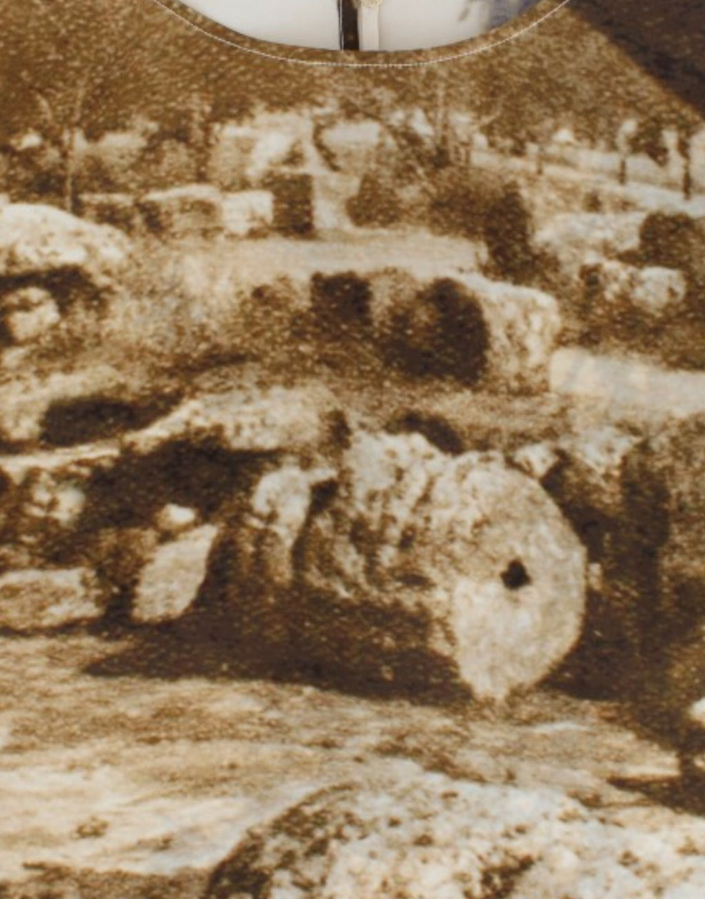 Dolce & Gabbana Braune Taormina-Seidenbluse