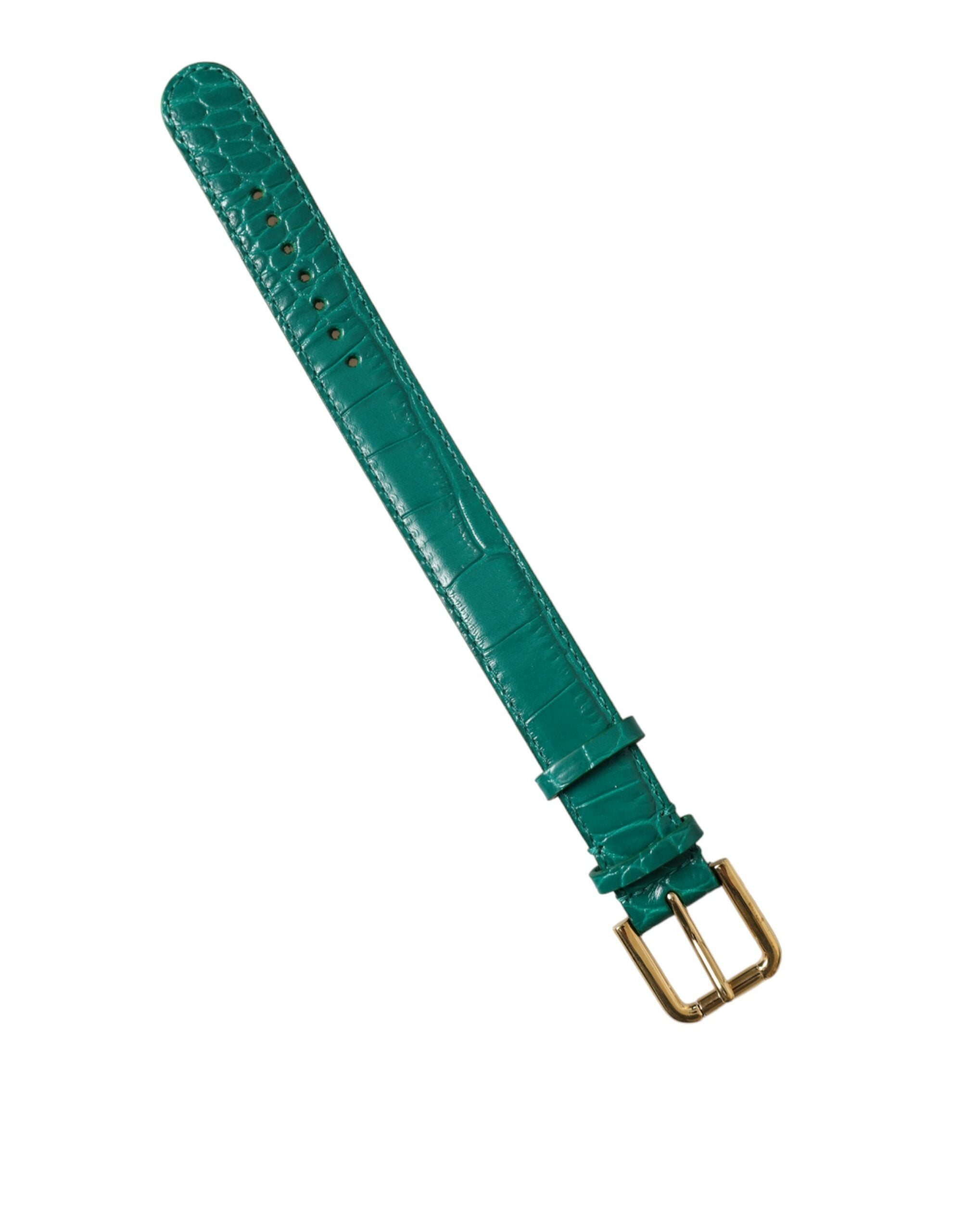 Dolce & Gabbana Grünes strukturiertes Leder mit goldfarbener Metallschnalle Halsband