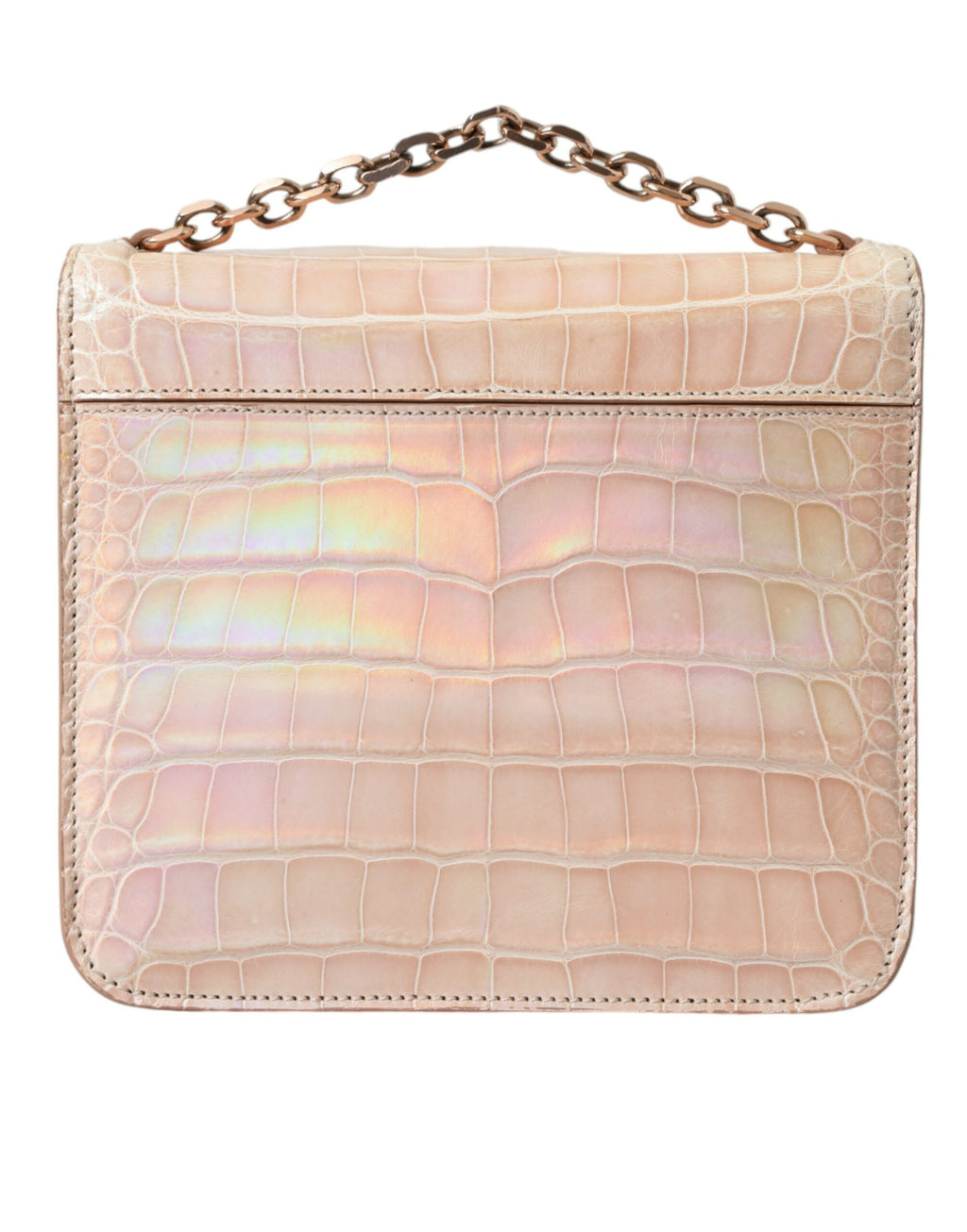 Balenciaga Beige Blauer Achat Exotisches Leder Gold Kette Geldbörse Tasche