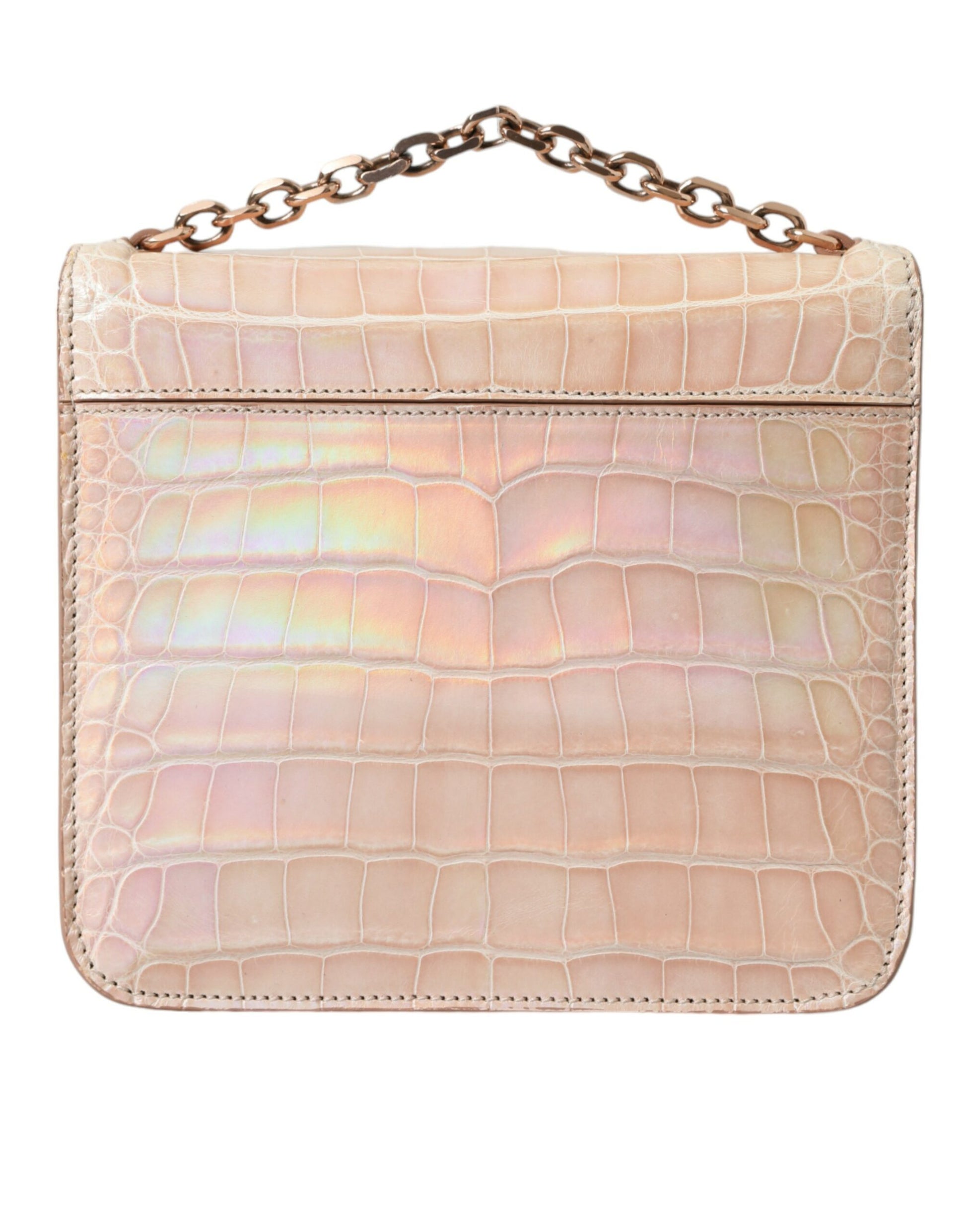 Balenciaga Beige Blauer Achat Exotisches Leder Gold Kette Geldbörse Tasche