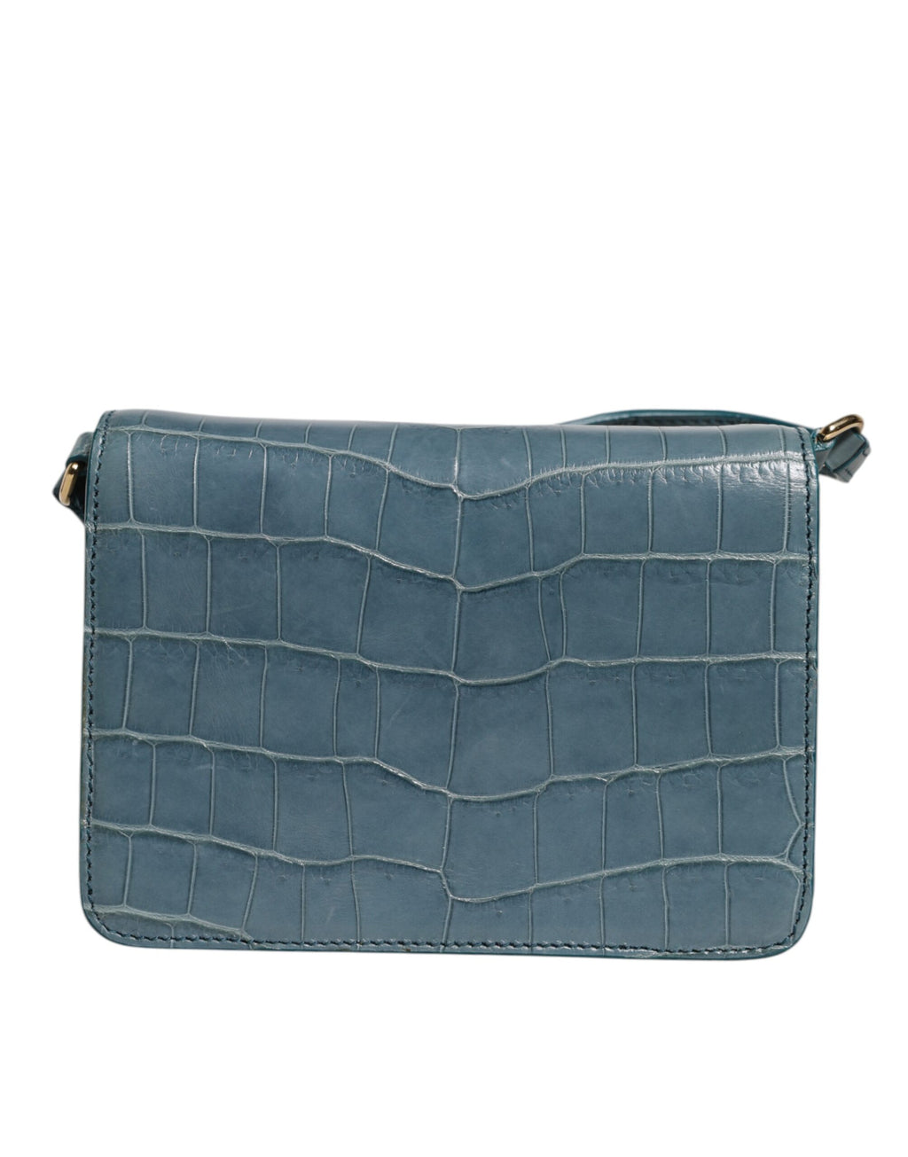 Dolce & Gabbana Groene Exotische Leren DG Plaque Crossbody Mini Tas