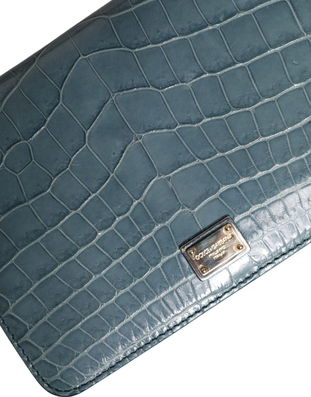 Dolce & Gabbana Groene Exotische Leren DG Plaque Crossbody Mini Tas