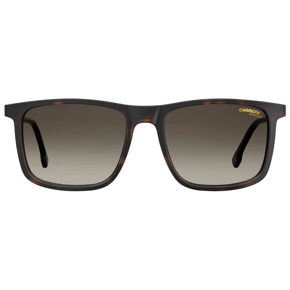 Carrera Braun gespritzte Sonnenbrille