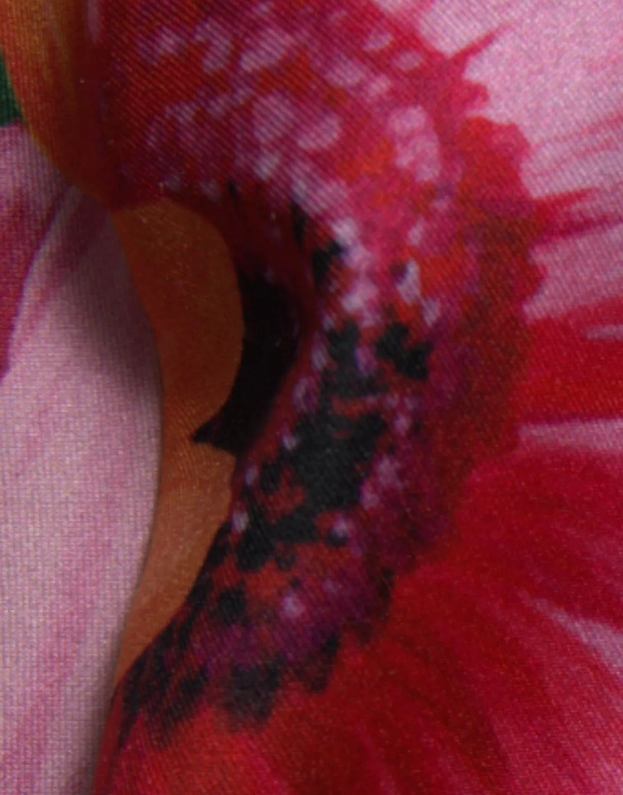 Dolce & Gabbana Mehrfarbiges Etuikleid mit Blumendruck