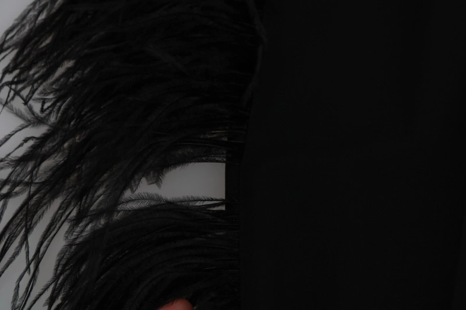 Dolce & Gabbana Schwarze Federhosen mit hoher Taille