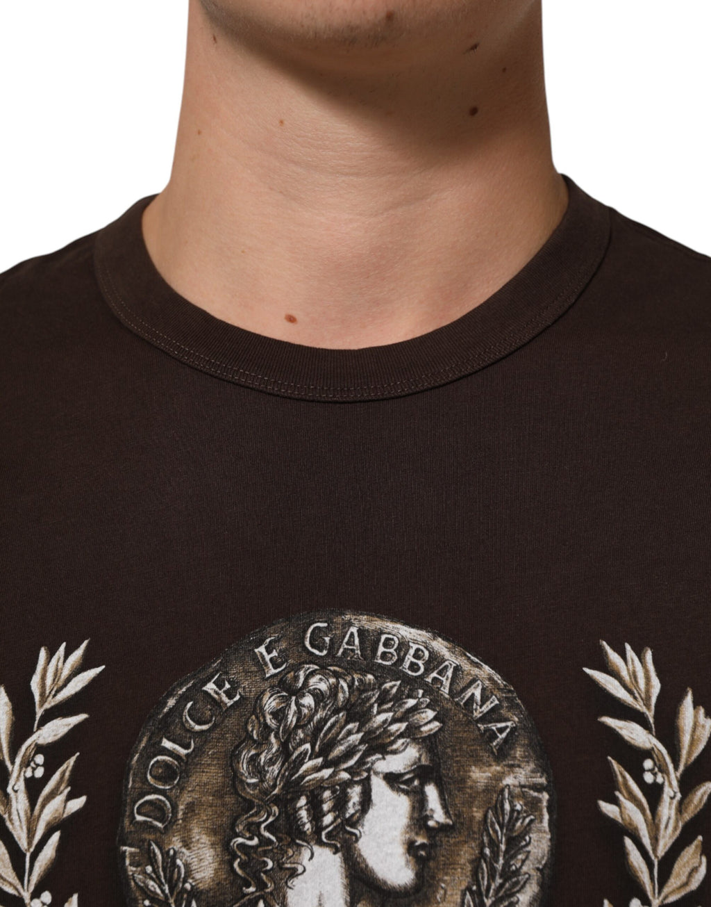 Dolce & Gabbana Braunes Münz-Lorbeer-T-Shirt mit Rundhalsausschnitt für Männer