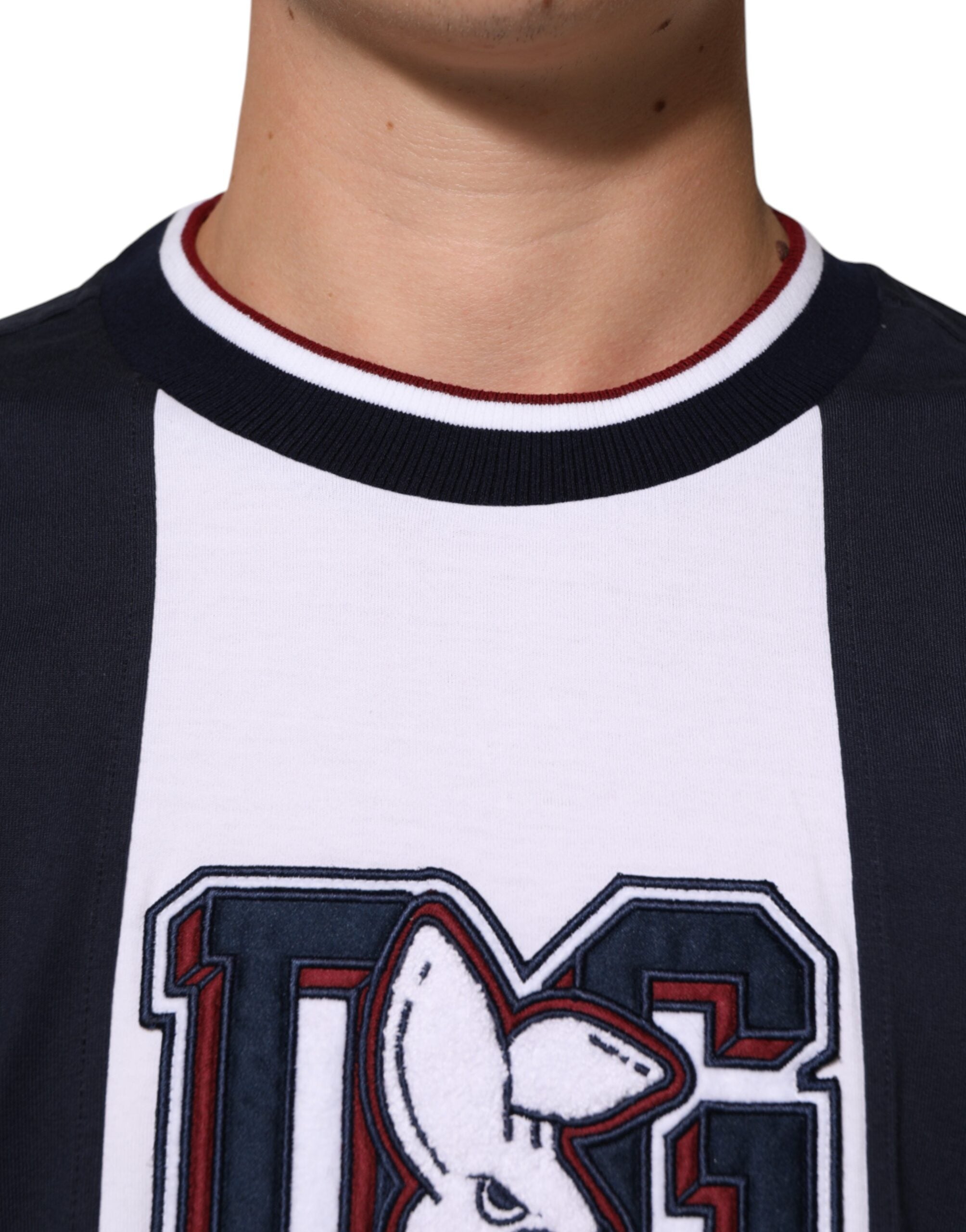 Dolce & Gabbana Mehrfarbig gestreiftes Baumwoll-T-Shirt mit Rundhalsausschnitt für Männer