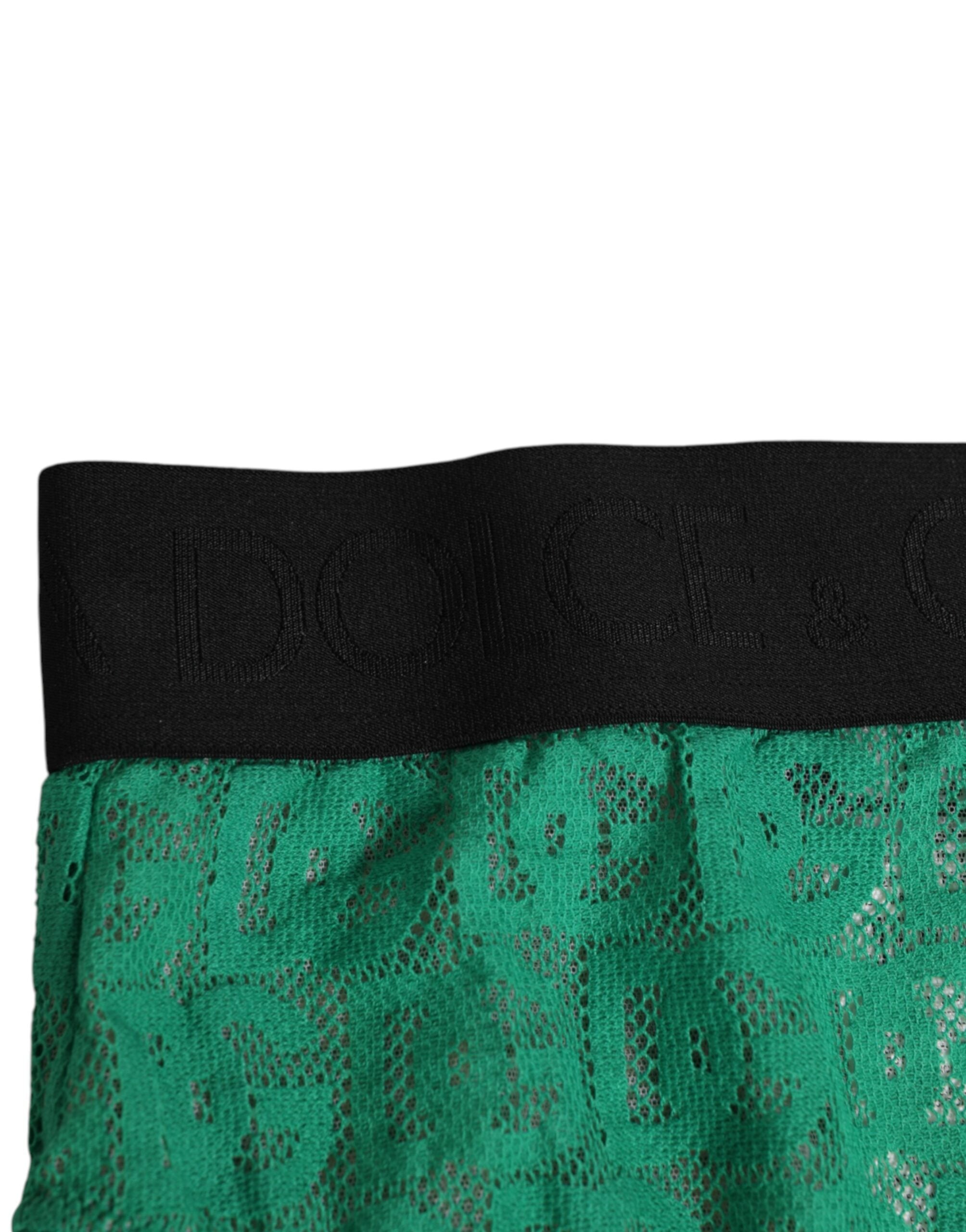 Dolce & Gabbana Grüner DG Logo Lace High Brief Slip Unterwäsche
