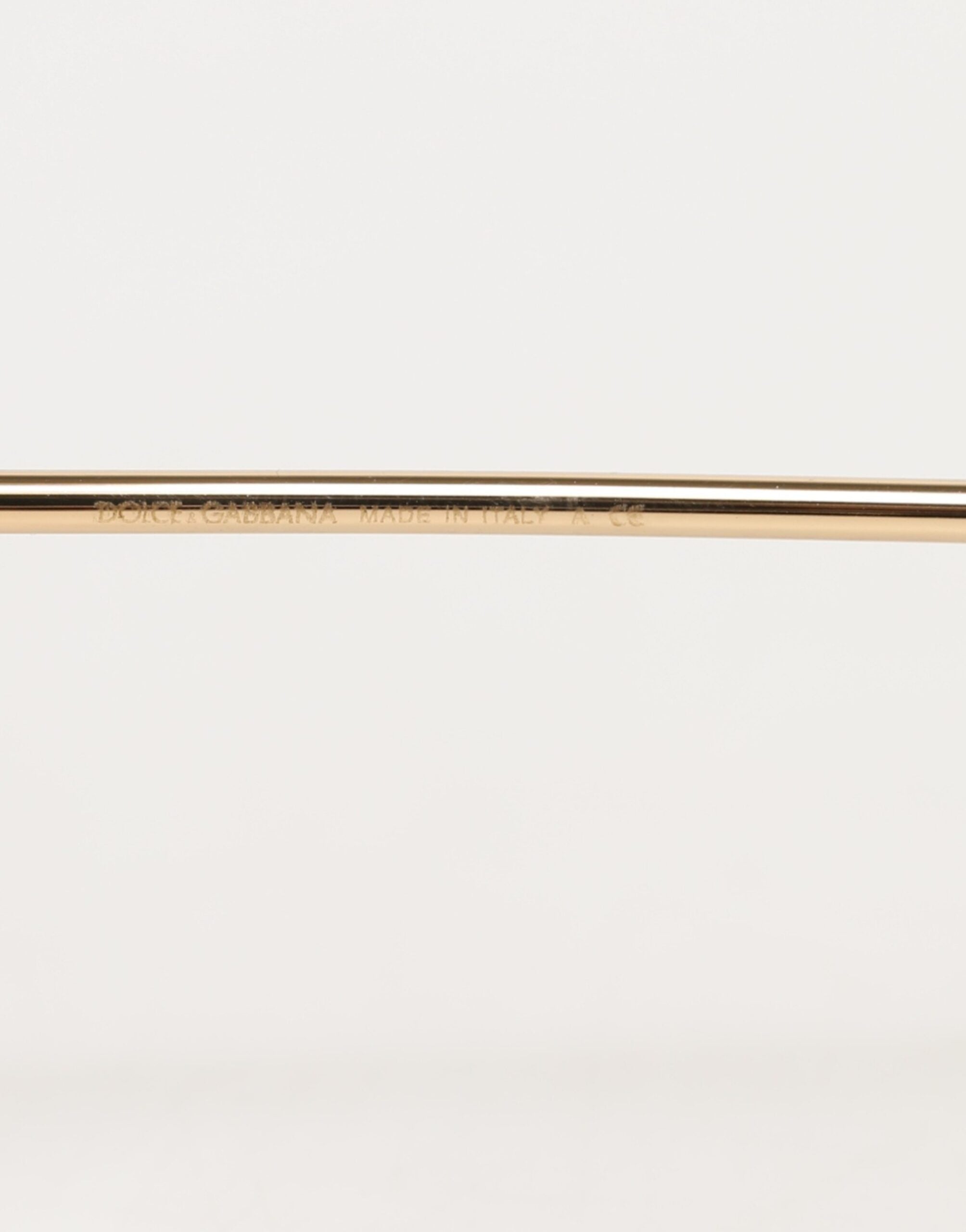 Dolce & Gabbana DG2198 Braune Leopard Print Gradient Runde Sonnenbrille