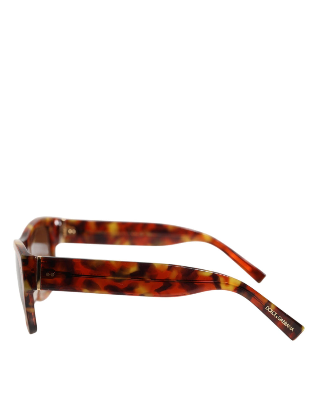 Dolce & Gabbana DG4338F Bruin Havana Volledig Omrande Ronde Glazen Zonnebril