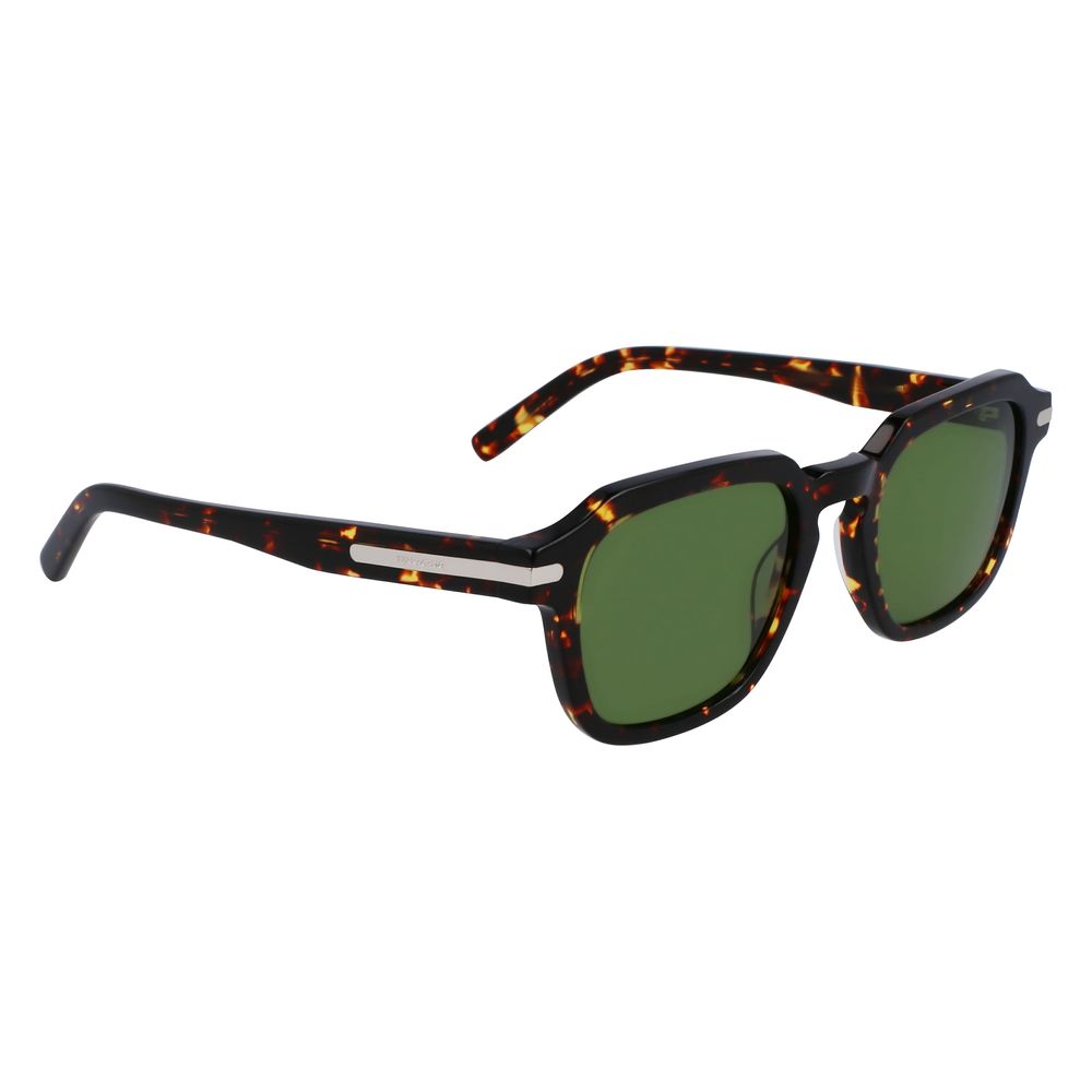 Ferragamo Braune Sonnenbrille aus Acetat