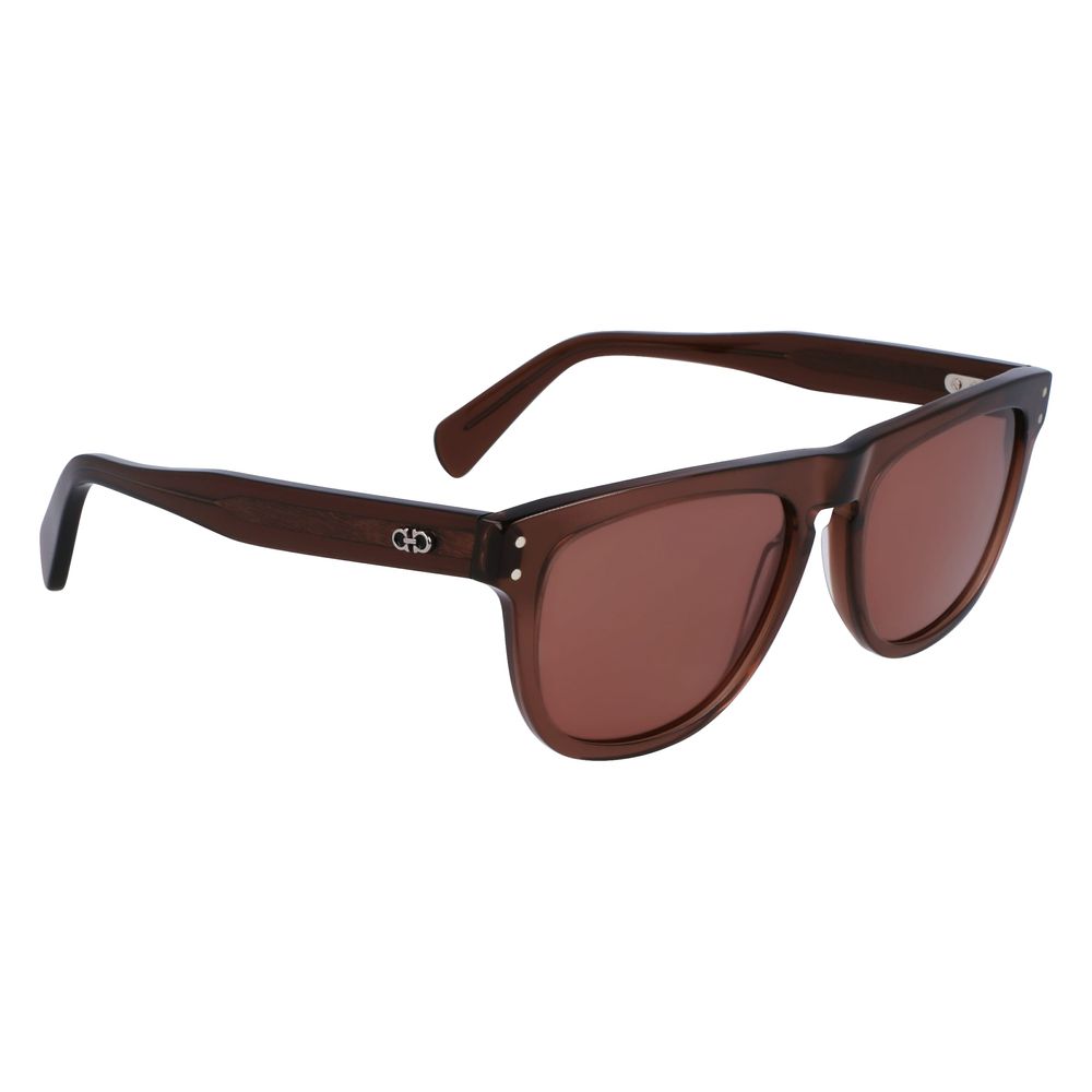 Ferragamo Braune Sonnenbrille aus Acetat