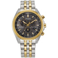 Citizen Gray Stainless Steel Bracelet Watch